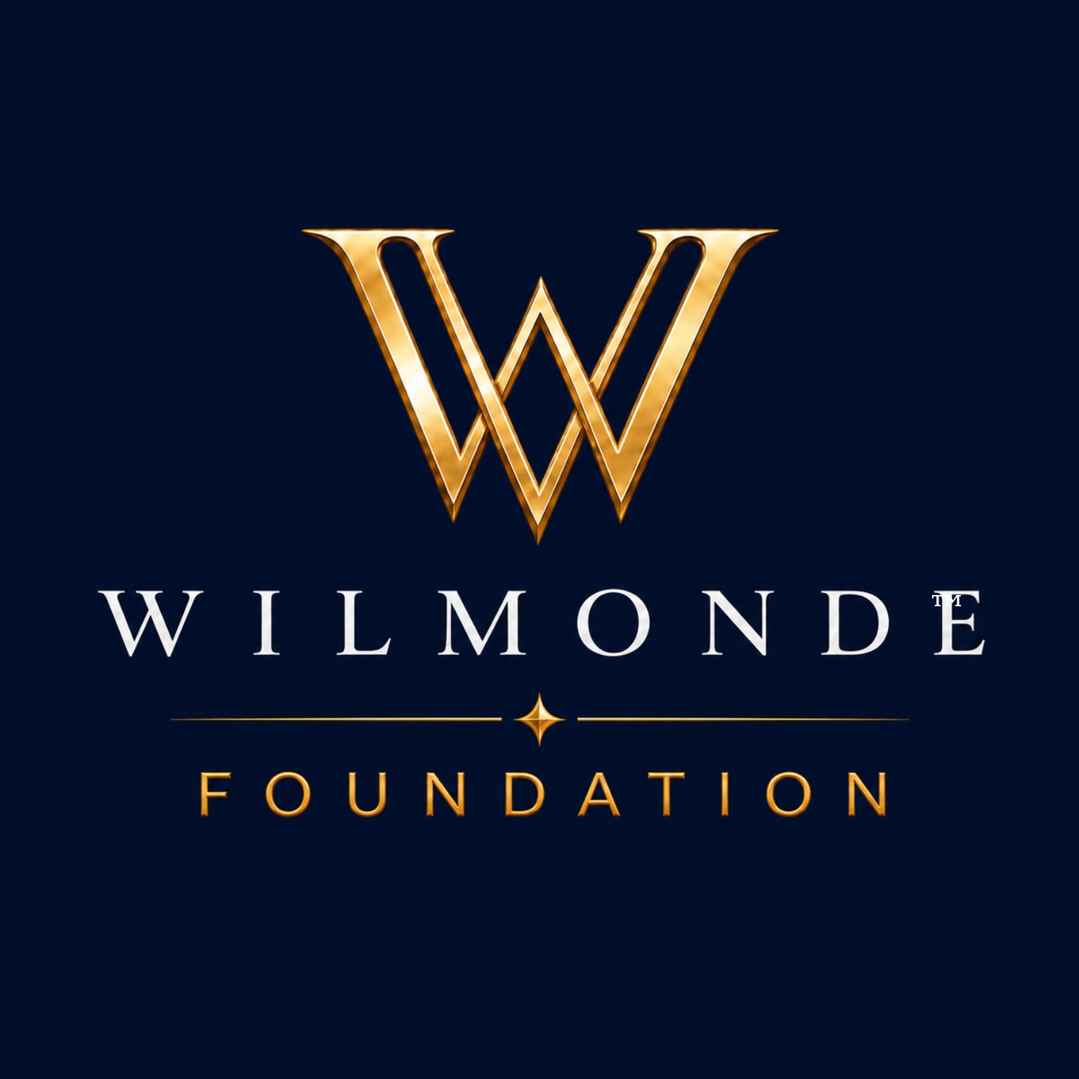 Wilmonde Foundation logo on navy